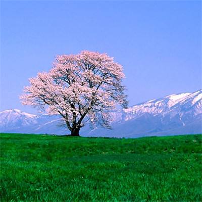 迷失星球2果盘版手游下载