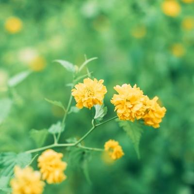 星域边缘破解版下载